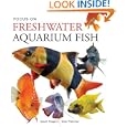 Focus on Freshwater Aquarium Fish