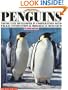 Penguins (Grades 1-3)