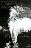 Geysers of Yellowstone