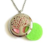Diffuser Necklace, Denee Aromatherapy Essential Oil Diffuser Necklace Jewelry, Hypo-Allergenic 316L Surgical Grade Stainless Steel Locket Pendant with 24
