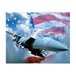 Springbok Defending Freedom 1000 Piece Jigsaw Puzzle