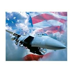 Springbok Defending Freedom 1000 Piece Jigsaw Puzzle