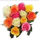 Roses Dozen Assorted