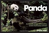 Panda: An Intimate Portrait Of One Of The World's Most Elusive Characters