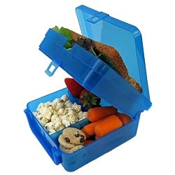 Bright Bin Lunchbox (Blue)