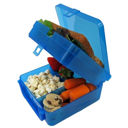 Bright Bin Lunchbox (Blue)