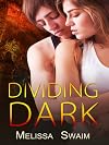 Dividing Dark