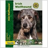 Eigenschaften Trixie  / 01739329 Irish Wolfhound / A. Kane
