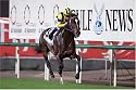 1000ピース ハーツクライ’06ドバイシーマクラシック 1000-481