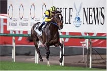 1000ピース ハーツクライ&rsquo;06ドバイシーマクラシック 1000-481