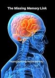 The Missing Memory Link, reprogram and improve verbal memory