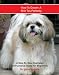 shih tzu - How to Groom A Shih Tzu Perfectly: A Step By Step Instruction Guide for Beginners