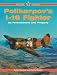 Polyikarpov's I-16 Fighter: Its Forerunners and Progeny