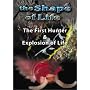 The Shape of Life, Vol. 2: The First Hunter/Explosion of Life