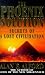 The Phoenix Solution: Secrets of a Lost Civilisation