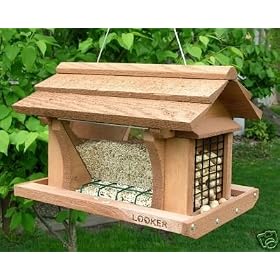 Looker 14 Inch Feeder with suet Feeder - Bird Special by Looker Inc