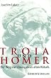 Troia und Homer