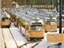 The Colorful Streetcars We Rode (Bulletin 125)