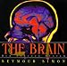 The Brain: Our Nervous System