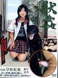月光/獣姦(20) 草蒔紅葉 DJK020