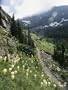 Woman Hiking on Sperry Chalet Trail, Glacier National Park, Montana Photographic Poster Print by Skip Brown, 24x32