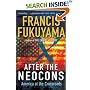 After the Neocons: America at the Crossroads