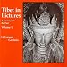 Books : Tibet in Pictures : Text and Photos (2-volume set)