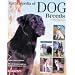 Learn How To Best Care For Your Dog.