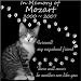 Personalized Pet Dog Cat Memorial 12"x12" Engraved Black Granite Grave Marker Head Stone Plaque MOZ1