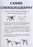 Canine Cineradiography
