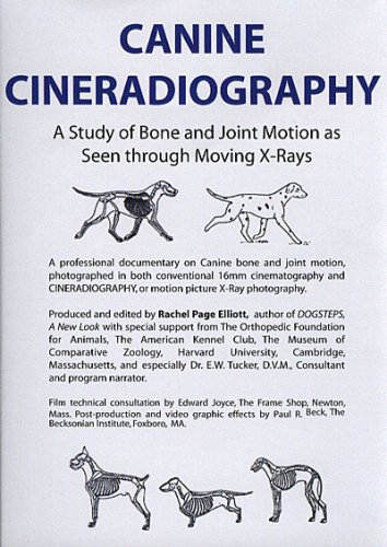Canine Cineradiography On Sale