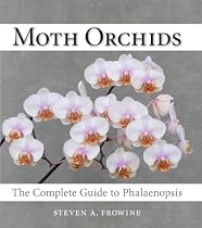 Moth Orchids: The Complete Guide to Phalaenopsis