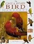 The Cage & Aviary Bird Handbook
