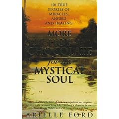 More Hot Chocolate for the Mystical Soul: 101 True Stories of Angels, Miracles and Healing