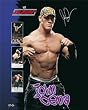 Posters: Wrestling Mini...