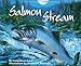 Salmon Stream