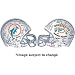 Mounted Memories Miami Dolphins Undefeated Season 35th Anniversary Helmet