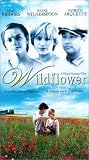 Wildflower (1991)