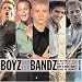 Books : Boyz and the Bandz: The Hottest Men in Music: From Elvis to Nsync