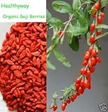 NutritionSource Healthyway Super Grade Organic Goji Berries Wolfberry (10 Pounds)
