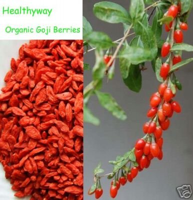 Super Grade Organic Goji Berries Wolfberry 10 lb