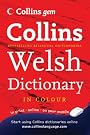 Welsh Dictionary