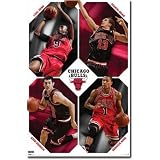 Chicago Bulls Team Wall Poster 09 22'x34'