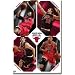 Chicago Bulls Team Wall Poster 09 22
