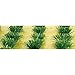 JTT Scenery Detachable Grass Bushes .375