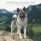 Norwegian Elkhounds 2008 Square Wall