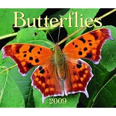 Butterflies 2009 (Calendar)