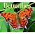 Butterflies 2009 (Calendar)