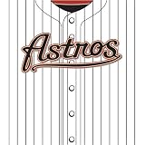 Houston Astros MLB Book Cover