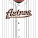 Turner MLB Houston Astros Stretch Book Covers (8190013)